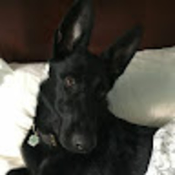 Meet your Posher, Lerna - Picture 1 of 1